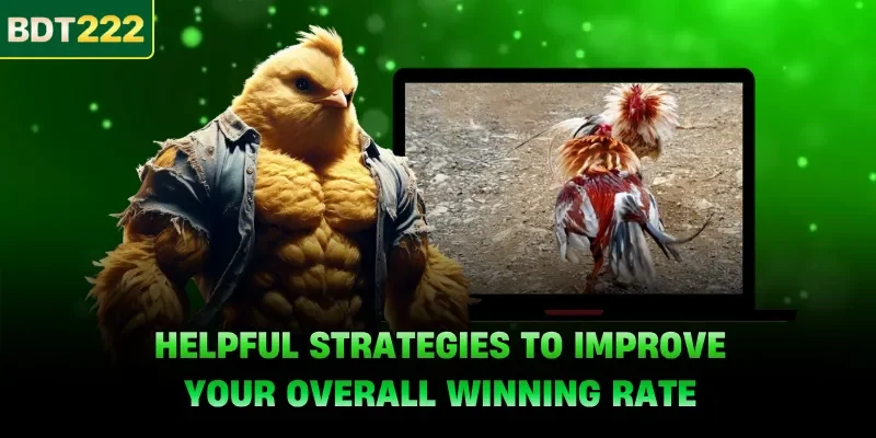 Helpful strategies to improve your overall winning rate
