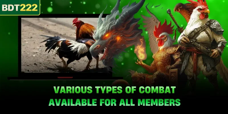 Various types of combat available for all members